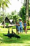 Club Andaman Beach Resort 